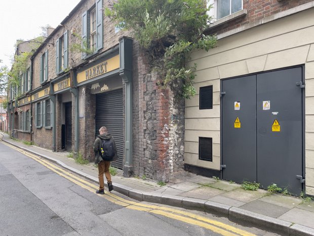 THE BACK LANE In James Joyce's "The Dead," Back Lane serves as a wry reference point for Gabriel Conroy's humorous anecdote about his...