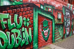 FLUDUBLIN RELATED STREET ART ON PARNELL STREET [BY BRUTTO A BRAZILIAN STREET ARTIST-245786-1