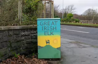 THE GREAT IRISH ELK BY CIARA JOHNSON [PAINT-A-BOX STREET ART ON CON COLBERT ROAD]-246613-1
