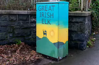 THE GREAT IRISH ELK BY CIARA JOHNSON [PAINT-A-BOX STREET ART ON CON COLBERT ROAD]-246614-1