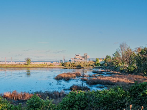 BOOTERSTOWN MARSH