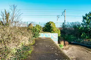BOOTERSTOWN MARSH AND NATURE RESERVE [ROCK ROAD BOOTERSTOWN]-246258-1