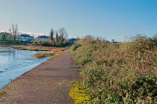 BOOTERSTOWN MARSH AND NATURE RESERVE [ROCK ROAD BOOTERSTOWN]-246260-1