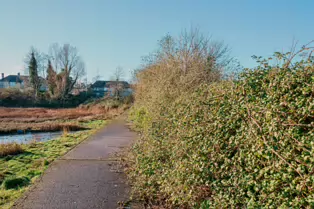 BOOTERSTOWN MARSH AND NATURE RESERVE [ROCK ROAD BOOTERSTOWN]-246261-1