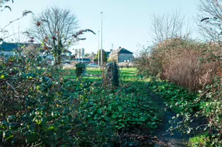 BOOTERSTOWN MARSH AND NATURE RESERVE [ROCK ROAD BOOTERSTOWN]-246263-1