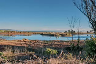 BOOTERSTOWN MARSH AND NATURE RESERVE [ROCK ROAD BOOTERSTOWN]-246268-1