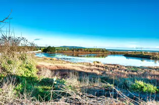 BOOTERSTOWN MARSH AND NATURE RESERVE [ROCK ROAD BOOTERSTOWN]-246269-1