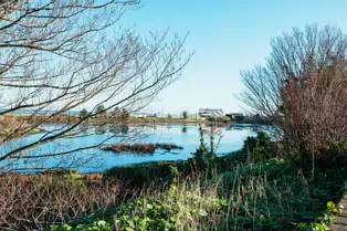 BOOTERSTOWN MARSH AND NATURE RESERVE [ROCK ROAD BOOTERSTOWN]-246270-1