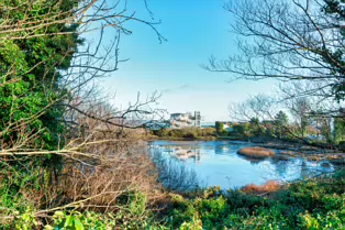 BOOTERSTOWN MARSH AND NATURE RESERVE [ROCK ROAD BOOTERSTOWN]-246274-1