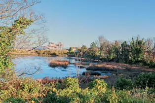 BOOTERSTOWN MARSH AND NATURE RESERVE [ROCK ROAD BOOTERSTOWN]-246276-1