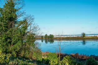 BOOTERSTOWN MARSH AND NATURE RESERVE [ROCK ROAD BOOTERSTOWN]-246277-1