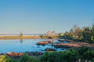 BOOTERSTOWN MARSH AND NATURE RESERVE [ROCK ROAD BOOTERSTOWN]-246278-1
