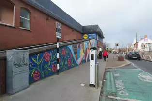 MURAL BY CLAIRE PROUVOST AT OLD UNUSED MOVING WALKWAY [ENTRANCE TO THE ORIGINAL SHOPPING CENTRE IN DUNDRUM]-246181-1