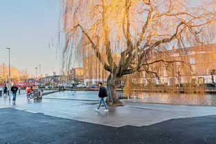 PORTOBELLO HARBOUR IN DUBLIN [THE GRAND CANAL WAS ICED OVER DUE TO THE EXTREME COLD]-246361-1
