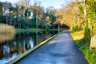 MY CHRISTMAS 2024 VISIT TO BUSHY PARK [19 DECEMBER 2024]-245580-1