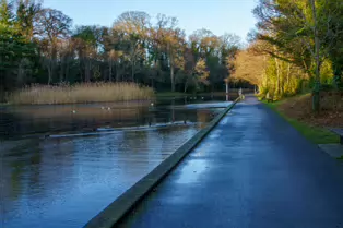 MY CHRISTMAS 2024 VISIT TO BUSHY PARK [19 DECEMBER 2024]-245582-1