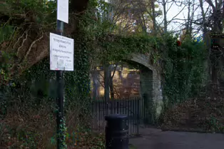MY CHRISTMAS 2024 VISIT TO BUSHY PARK [19 DECEMBER 2024]-245584-1