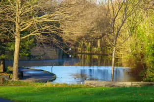 MY CHRISTMAS 2024 VISIT TO BUSHY PARK [19 DECEMBER 2024]-245587-1