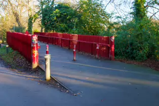 MY CHRISTMAS 2024 VISIT TO BUSHY PARK [19 DECEMBER 2024]-245592-1