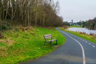 EXPLORING LIFFEY PARK [A SECTION OF LIFFEY VALLEY LINEAR PARK BETWEEN ISLAND BRIDGE AND CHAPELIZOD]-246424-1