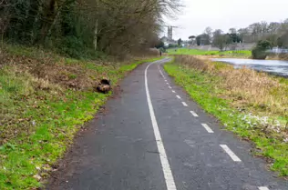 EXPLORING LIFFEY PARK [A SECTION OF LIFFEY VALLEY LINEAR PARK BETWEEN ISLAND BRIDGE AND CHAPELIZOD]-246433-1