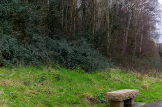 EXPLORING LIFFEY PARK [A SECTION OF LIFFEY VALLEY LINEAR PARK BETWEEN ISLAND BRIDGE AND CHAPELIZOD]-246441-1