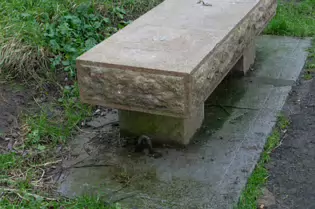 EXPLORING LIFFEY PARK [A SECTION OF LIFFEY VALLEY LINEAR PARK BETWEEN ISLAND BRIDGE AND CHAPELIZOD]-246442-1