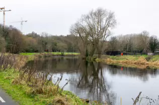 EXPLORING LIFFEY PARK [A SECTION OF LIFFEY VALLEY LINEAR PARK BETWEEN ISLAND BRIDGE AND CHAPELIZOD]-246448-1