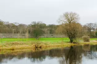 EXPLORING LIFFEY PARK [A SECTION OF LIFFEY VALLEY LINEAR PARK BETWEEN ISLAND BRIDGE AND CHAPELIZOD]-246452-1