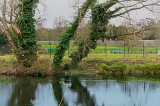 EXPLORING LIFFEY PARK [A SECTION OF LIFFEY VALLEY LINEAR PARK BETWEEN ISLAND BRIDGE AND CHAPELIZOD]-246461-1
