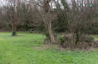 EXPLORING LIFFEY PARK [A SECTION OF LIFFEY VALLEY LINEAR PARK BETWEEN ISLAND BRIDGE AND CHAPELIZOD]-246480-1