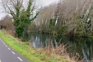 EXPLORING LIFFEY PARK [A SECTION OF LIFFEY VALLEY LINEAR PARK BETWEEN ISLAND BRIDGE AND CHAPELIZOD]-246484-1