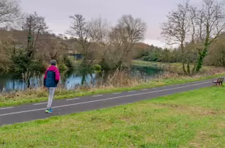 EXPLORING LIFFEY PARK [A SECTION OF LIFFEY VALLEY LINEAR PARK BETWEEN ISLAND BRIDGE AND CHAPELIZOD]-246486-1