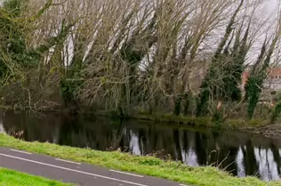 EXPLORING LIFFEY PARK [A SECTION OF LIFFEY VALLEY LINEAR PARK BETWEEN ISLAND BRIDGE AND CHAPELIZOD]-246487-1