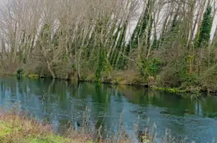 EXPLORING LIFFEY PARK [A SECTION OF LIFFEY VALLEY LINEAR PARK BETWEEN ISLAND BRIDGE AND CHAPELIZOD]-246488-1