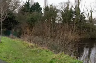 EXPLORING LIFFEY PARK [A SECTION OF LIFFEY VALLEY LINEAR PARK BETWEEN ISLAND BRIDGE AND CHAPELIZOD]-246490-1