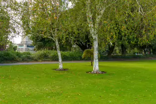 THE WELLINGTON OBELISK [PHOENIX PARK OCTOBER 2024]-243521-1