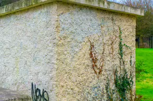 IRISH NATIONAL WAR MEMORIAL GARDENS AT ISLANDBRIDGE [TUESDAY 14 JANUARY 2025]-246569-1