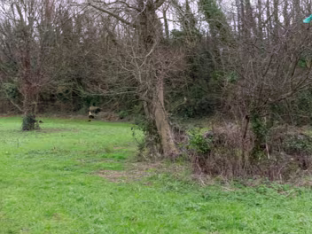 LIFFEY PARK Among these urban green spaces is Liffey Park, a picturesque stretch along the River Liffey that meanders through...