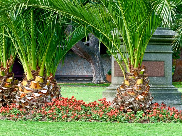 FLOWER GARDEN Nestled within Phoenix Park, the People's Flower Garden is a beautifully manicured Victorian garden spanning 9 hectares....