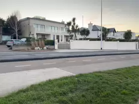EXPLORING SANDYCOVE AVENUE AND NEARBY [1 JANUARY 2025]-246130-1