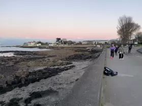 EXPLORING SANDYCOVE AVENUE AND NEARBY [1 JANUARY 2025]-246131-1
