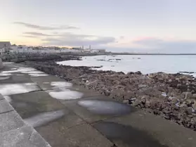 EXPLORING SANDYCOVE AVENUE AND NEARBY [1 JANUARY 2025]-246135-1