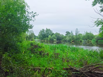 CORBALLY OPEN AIR BATHS My prior visits to Limerick always piqued my curiosity about a little-known feature on the River Shannon: the Corbally...