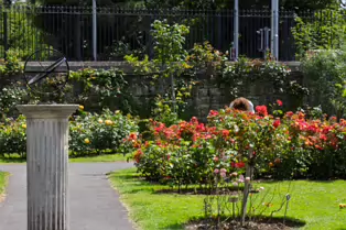 TWO DIFFERENT TYPES OF SUNDIAL AT THE BOTANIC GARDENS IN DUBLIN [7 JULY 3025]-253629-1