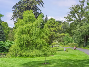 THE POND AREA The design of the pond area is quite naturalistic, with meandering paths that allow visitors to stroll alongside its...
