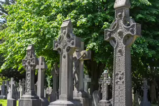 A LANDSCAPE ADORNED BY LARGE CELTIC CROSSES [GLASNEVIN CEMETERY MONDAY 7 JULY 2025]-253607-1