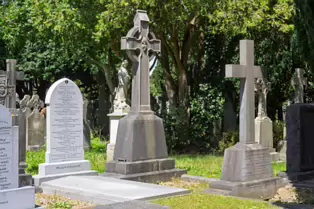 A LANDSCAPE ADORNED BY LARGE CELTIC CROSSES [GLASNEVIN CEMETERY MONDAY 7 JULY 2025]-253609-1