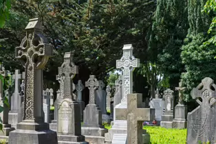 A LANDSCAPE ADORNED BY LARGE CELTIC CROSSES [GLASNEVIN CEMETERY MONDAY 7 JULY 2025]-253612-1