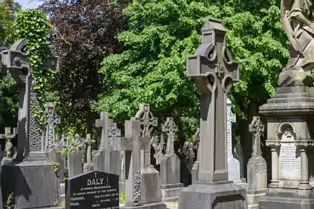 A LANDSCAPE ADORNED BY LARGE CELTIC CROSSES [GLASNEVIN CEMETERY MONDAY 7 JULY 2025]-253615-1